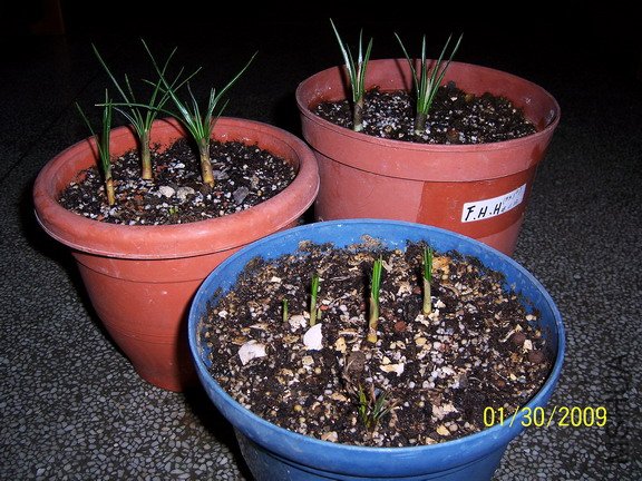 ��Ƭ 1420(576).jpg