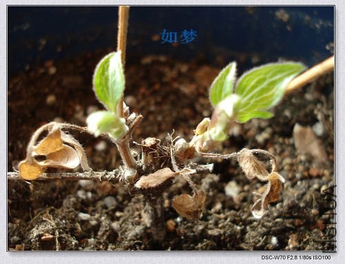 ����һ��