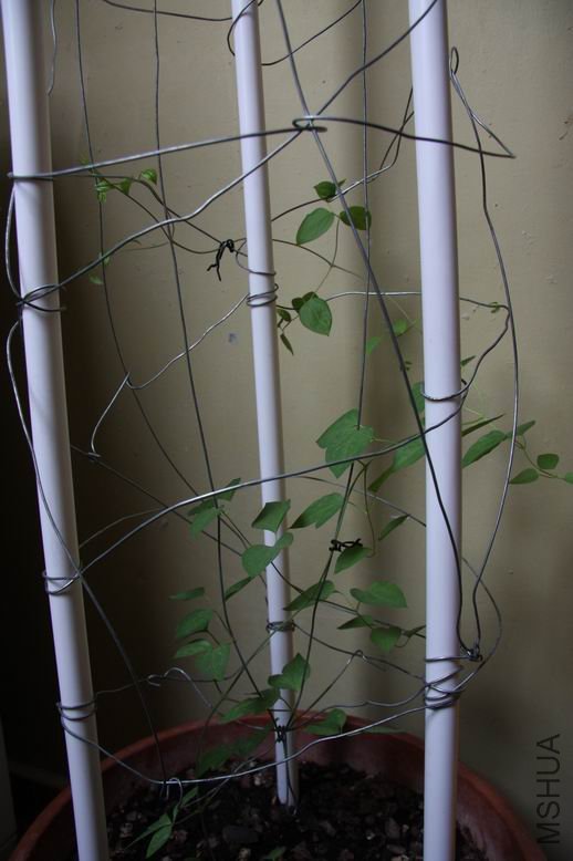 ������С 0211-2.jpg