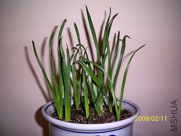 ��Ƭ 405(576).jpg