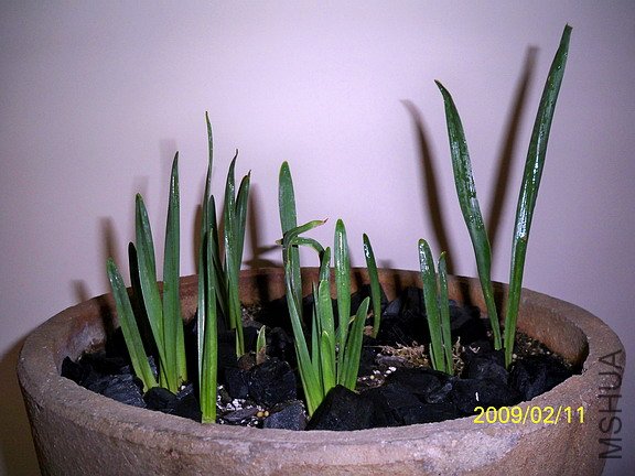 ��Ƭ 384(576).jpg