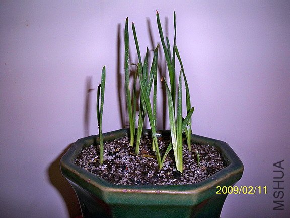 ��Ƭ 409(576).jpg