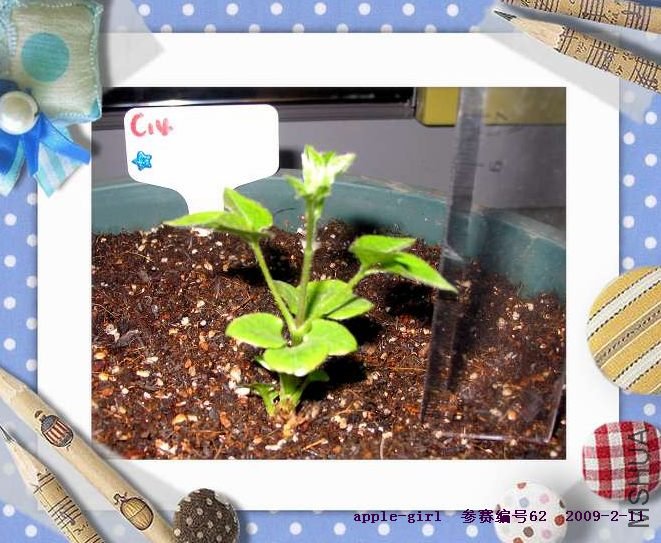 ��Ƭ20090211 003.jpg