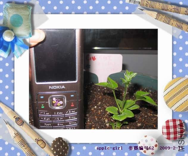 ��Ƭ20090211 005.jpg