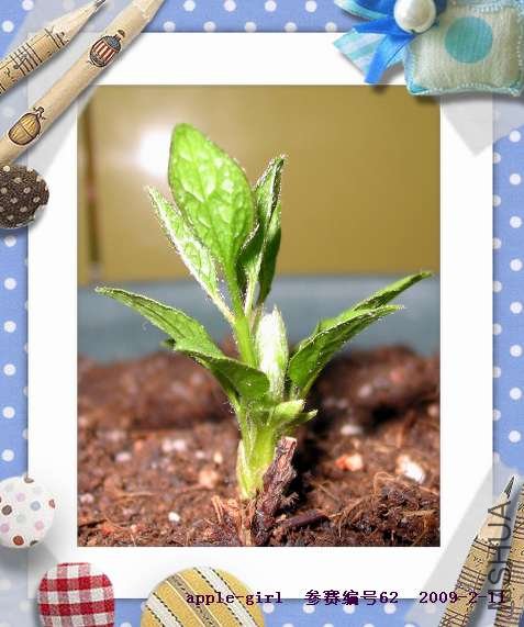 ��Ƭ20090211 009.jpg