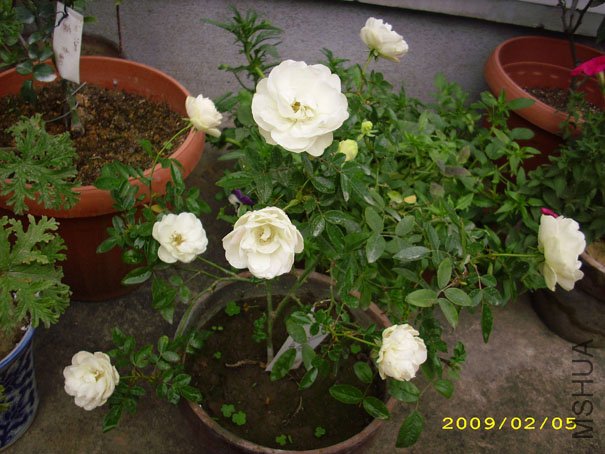 �׿�09�괺.2.JPG
