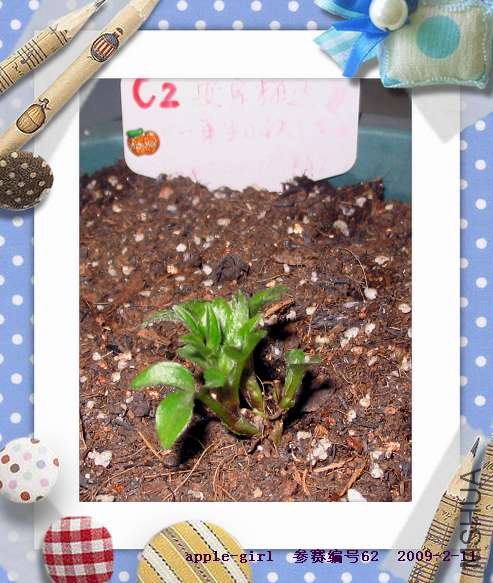 ��Ƭ20090211 006.jpg