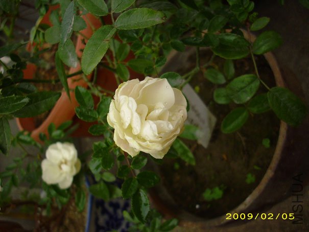 �׿�09�괺.JPG
