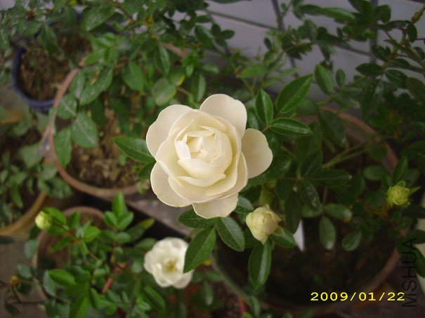 �׿�09�괺3.JPG