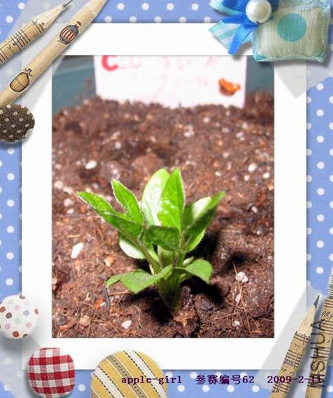 ��Ƭ20090211 008.jpg