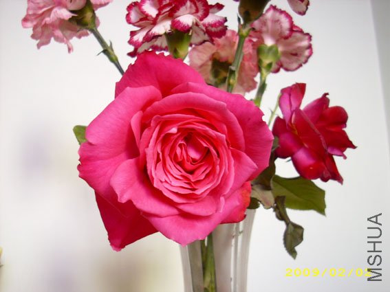 DSCI0035.JPG