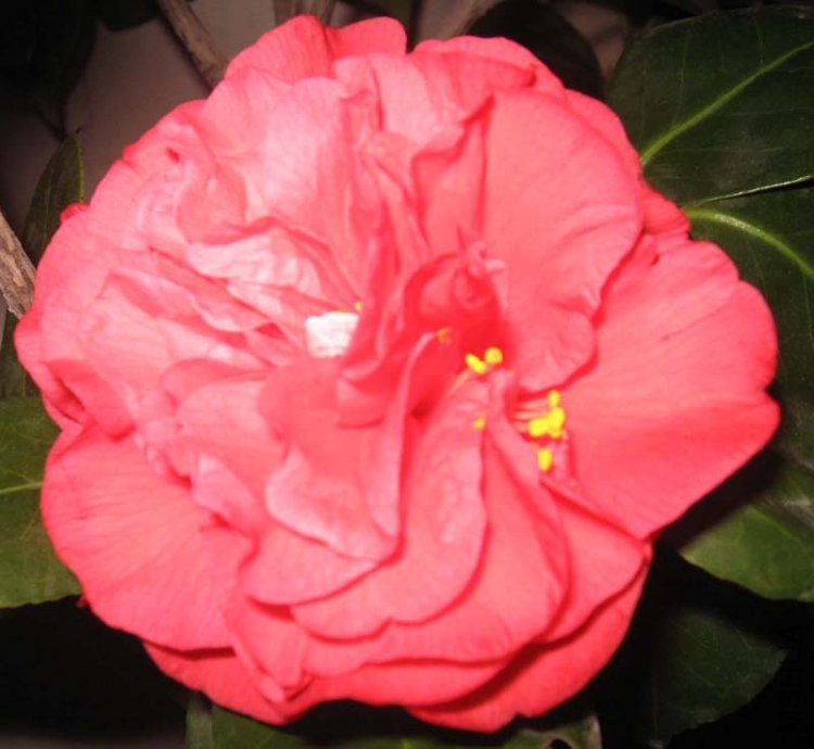 ��Ƭ 073.jpg