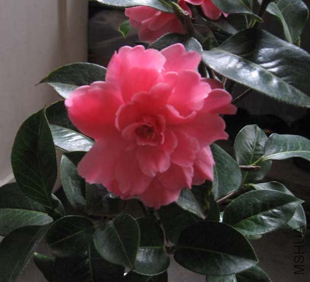 ��Ƭ 058.jpg