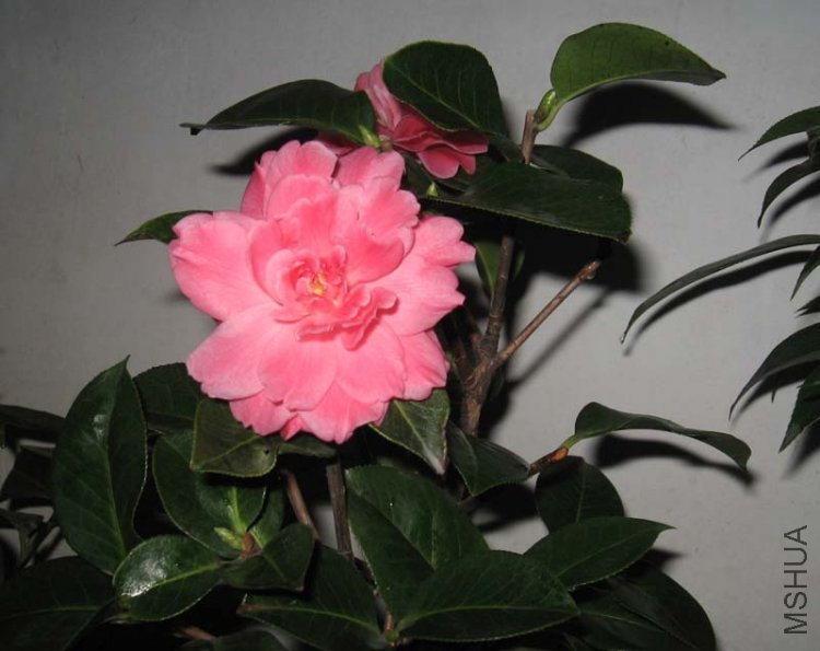 ��Ƭ 068.jpg