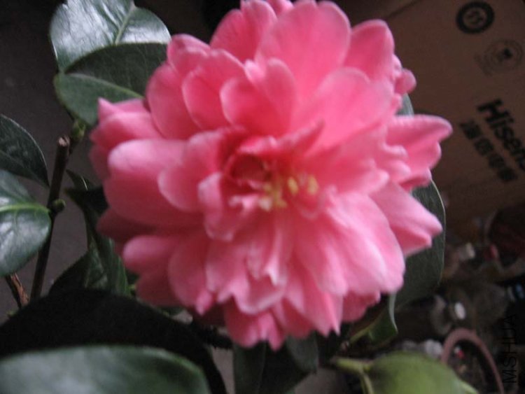 ��Ƭ 049.jpg