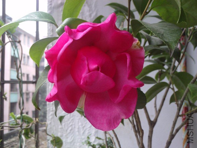 LGIM0007.jpg