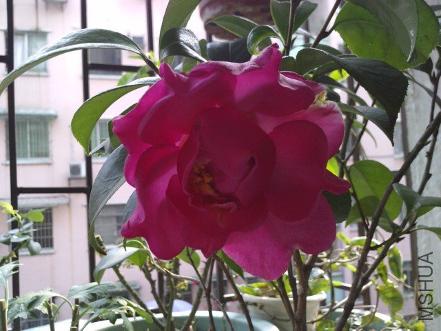 LGIM0014.jpg