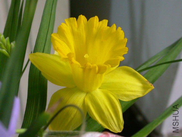 ˮ��ȷ�߰���ͷ���쿪��