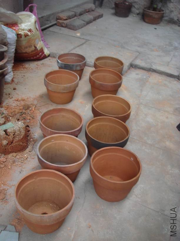 ��ת DSC02187.JPG