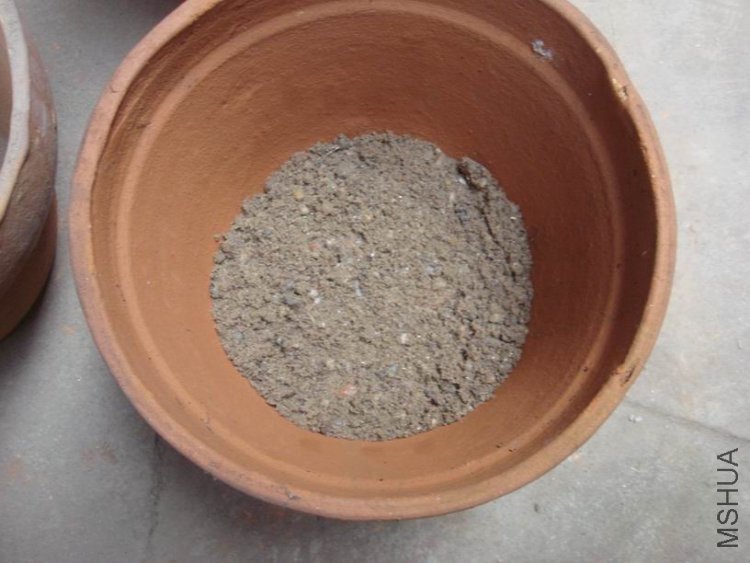 ��ɳ���Ǻ���Ƭ