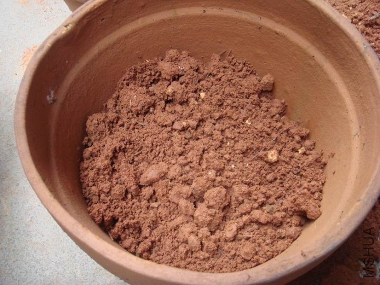 ����������ߵ�һ������