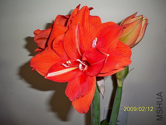 ��Ƭ 2473(576a).jpg