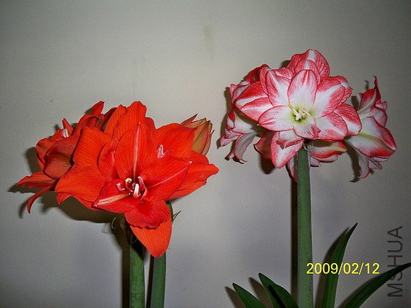 ��Ƭ 2157(576).jpg