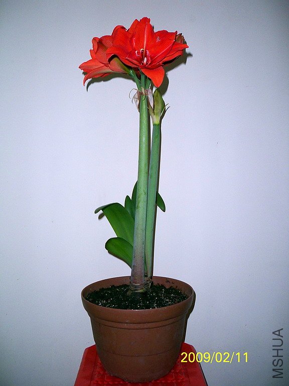 ��Ƭ 2541(576).jpg