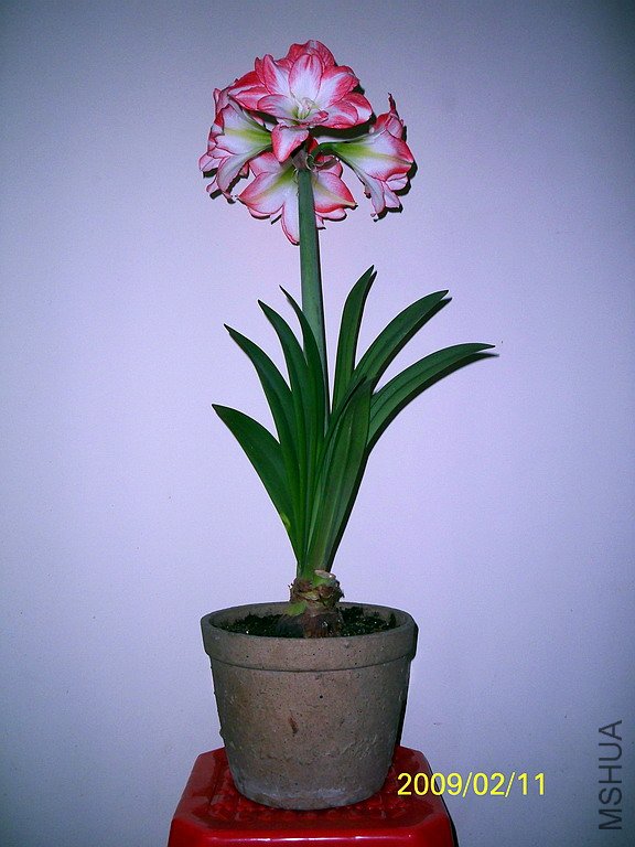 ��Ƭ 014(576).jpg