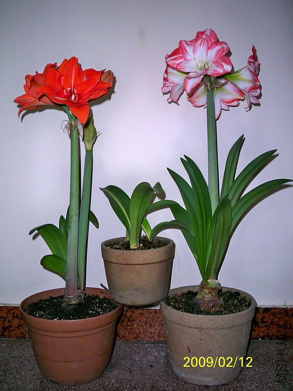 ����...�����ȸ�ǵ�2����, Ҳ����