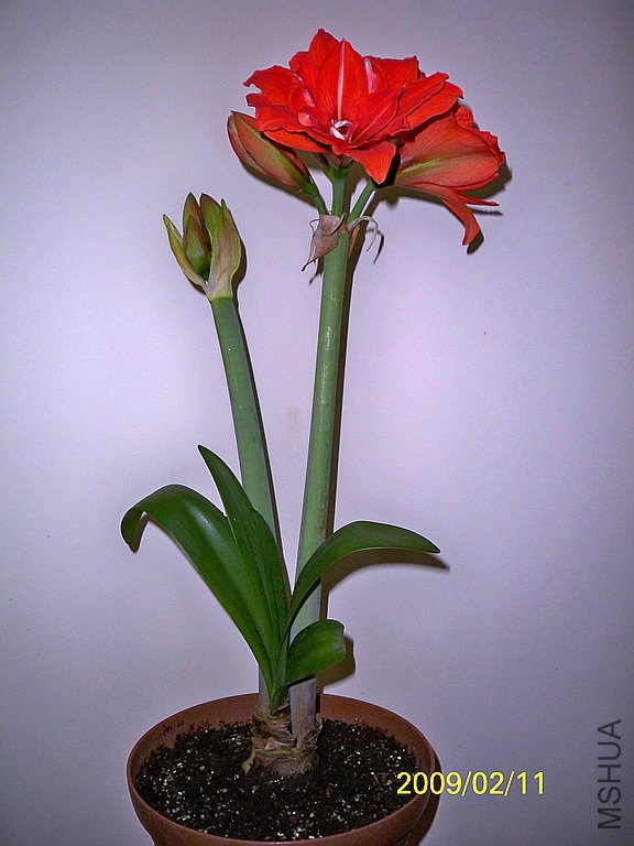 ��Ƭ 2549(576).jpg