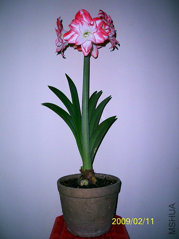 ��Ƭ 018(576).jpg