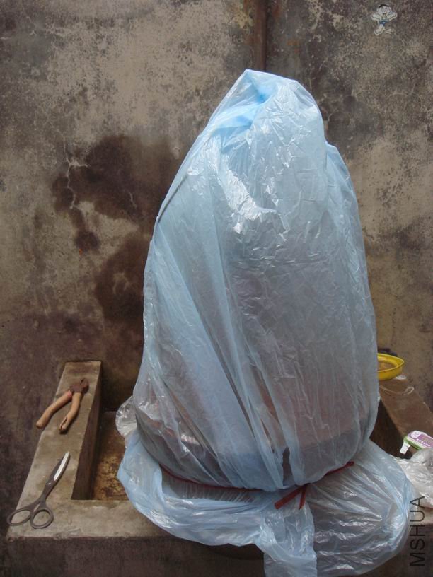 ��ת DSC02215.JPG