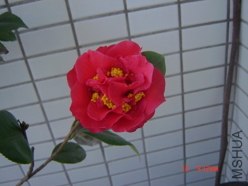 ��Ƭ 062.jpg