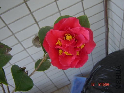 ��Ƭ 079.jpg