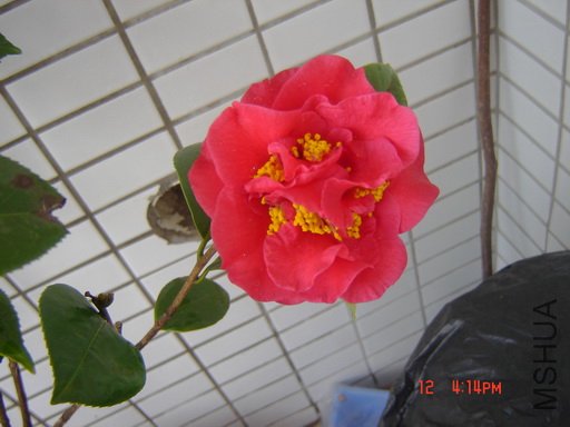 ��Ƭ 081.jpg