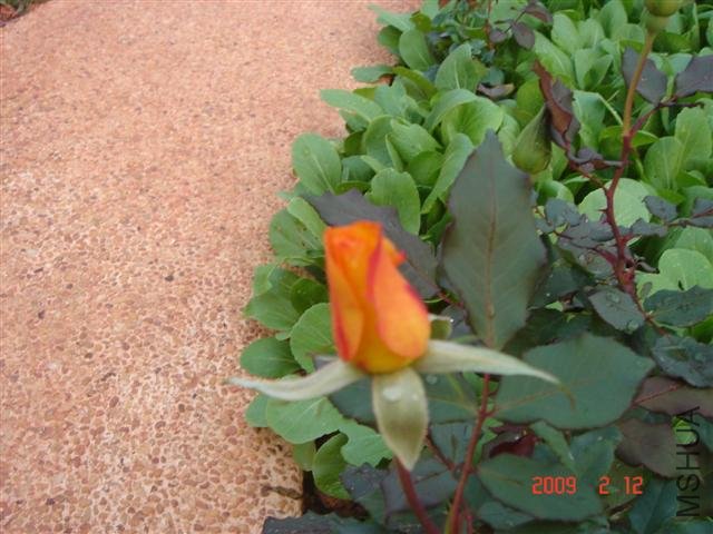 ����ǳ��ƣ����ϴο����Ƕ���ɫ��һ�������˵�