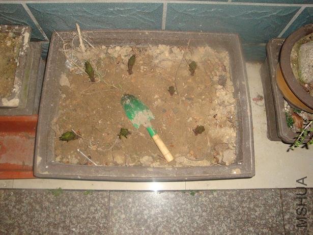 ���Եĺú� ��