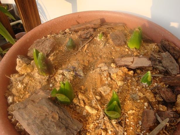 ��ǰ��󼸸���Ҳ��ѿ��