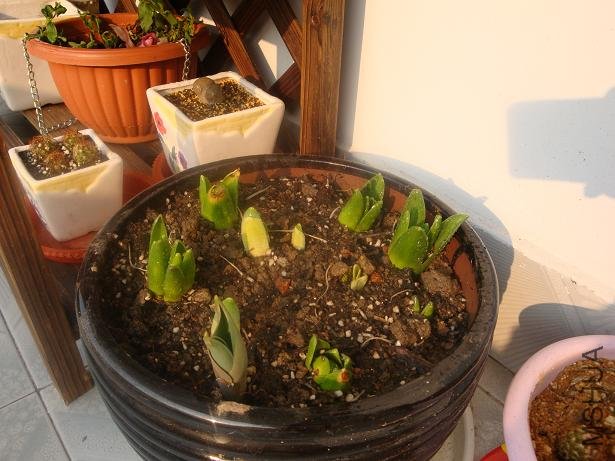 ������һ�أ����˵�����