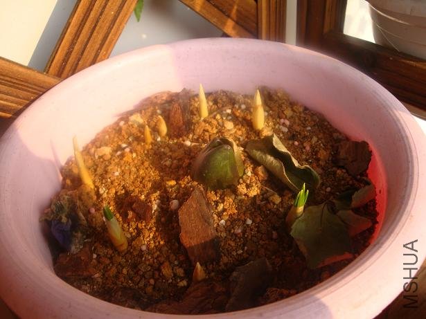 ��Ҳ������