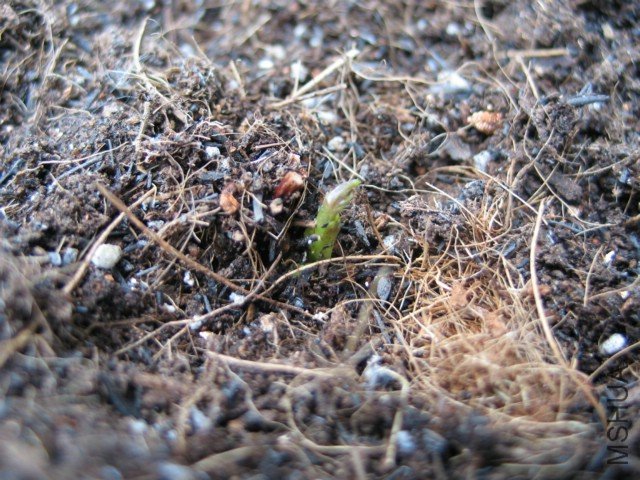 ��˾̽���ɰ����Դ�