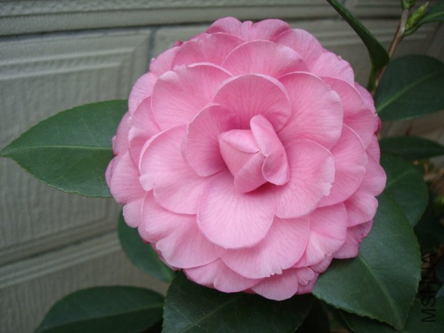 ��һ����ɯ�����ѿ����޲����������ˡ�