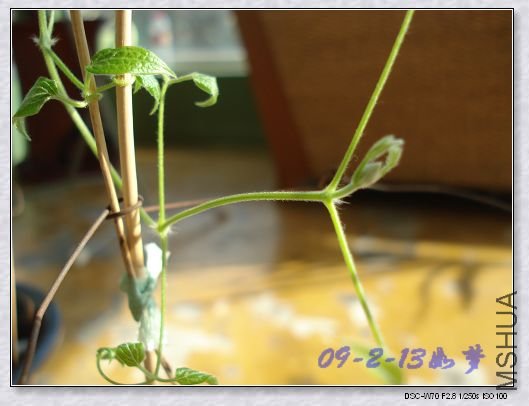 �Լҷ��������ò���л����ˣ�