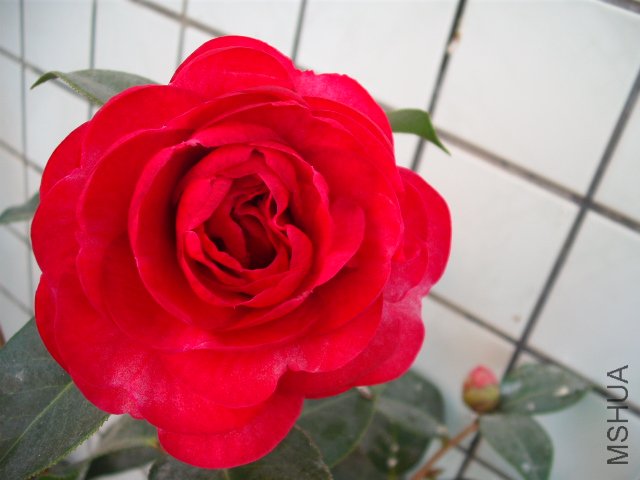 �������۴����ҵ��ģ��žŹ�һ����غ��˸��������
