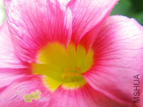 ��-ܽ�ط� 35.jpg