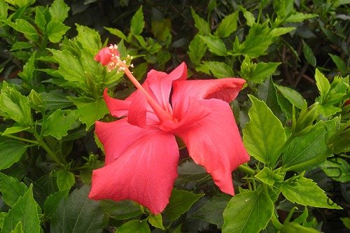R1100351.jpg