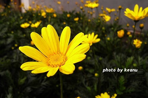 R1100359.jpg