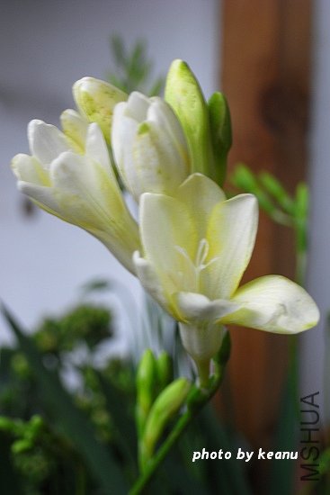 R1100369.jpg