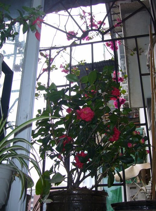 P1090890.jpg